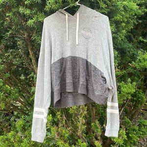 Hollister Hoodie Sweater